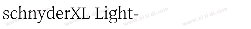 schnyderXL Light字体转换